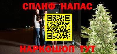 прущие грибы Гусев