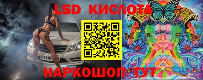 прущие грибы Гусев