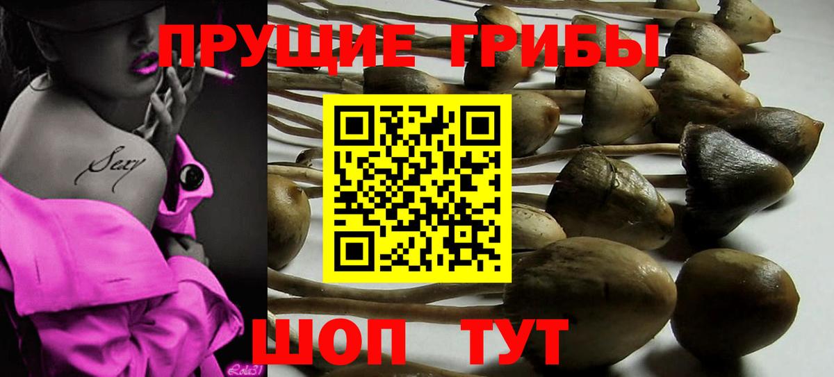 Галлюциногенные грибы ЛСД  магазин продажи наркотиков  Лысьва  Вход с VPN 